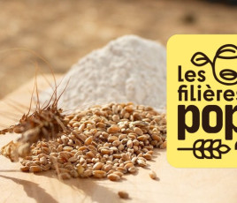 Les Filières POP