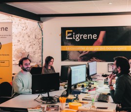 Eigrene
