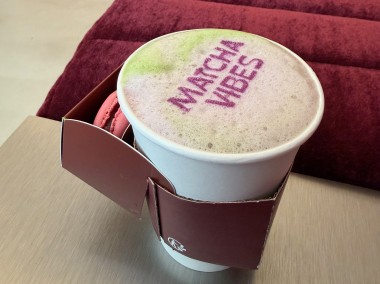 Matcha Vibes