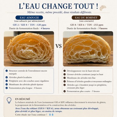 Analyse de deux croissants