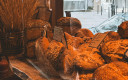 Blé et pains